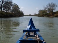 In canoa sul fiume Ombrone